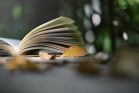 2025年車(chē)輛工程在職研究生招生簡(jiǎn)章