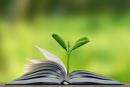 教育領導與管理中外合辦招生信息