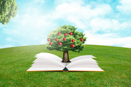 2026農村發展中外合辦招生時間