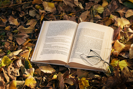 西安外國語大學同等學力申碩招生簡章