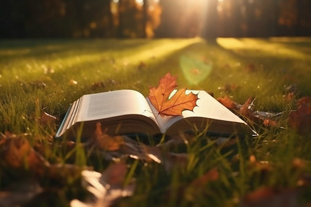 齊齊哈爾大學非全日制研究生招生簡章