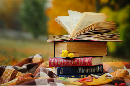 2026年山東農業大學非全日制研究生招生簡章