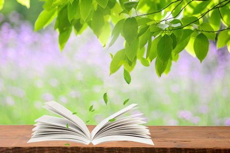 2026年西安財經大學同等學力申碩招生專業一覽表