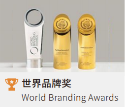 世界品牌獎.png