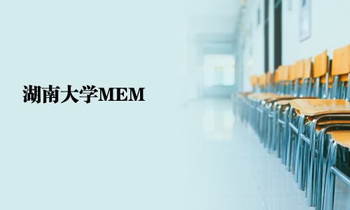 湖南大學MEM