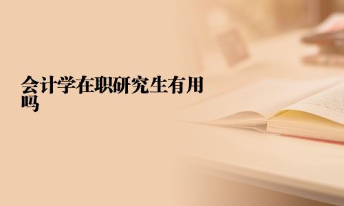 會計學在職研究生有用嗎