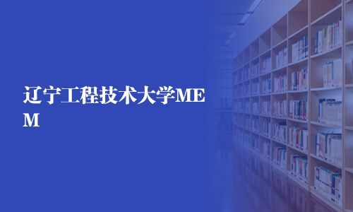 遼寧工程技術大學MEM