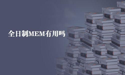 全日制MEM有用嗎
