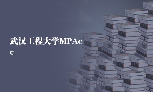 武漢工程大學MPAcc