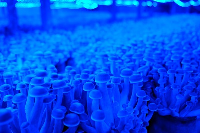 校友專訪:上海財經大學EMBA劉建雄 校友專訪:上海財經大學EMBA劉建雄