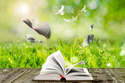 全日制博士和非全日制博士區(qū)別 全日制博士和非全日制博士區(qū)別