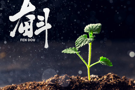 企業管理國際碩士學制學費