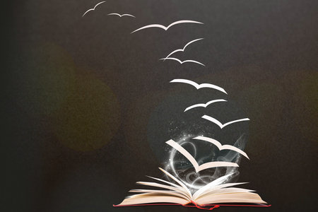 美國密蘇里州立大學