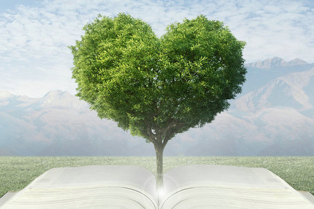 青島農業大學在職研究生報名時間