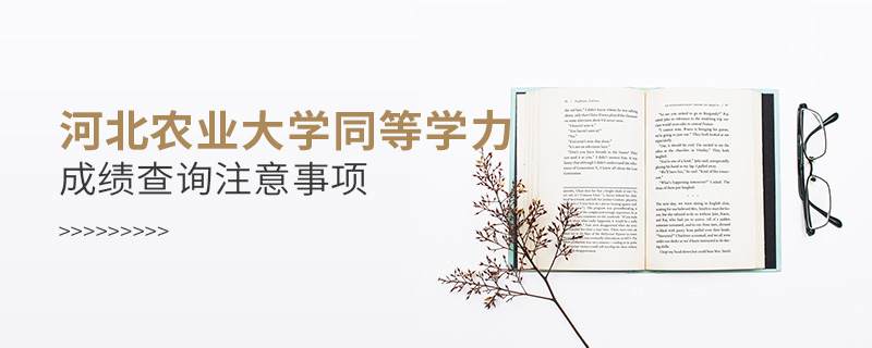 河北農業大學同等學力申碩成績查詢注意事項