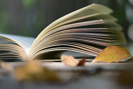 安徽財經(jīng)大學(xué)在職研究生MBA招生條件