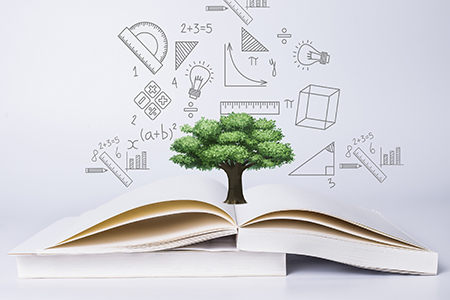 輕工技術與工程非全日制研究生畢業后可以從事哪些工作？