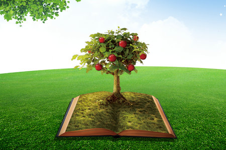 西安郵電大學(xué)信息與通信工程在職研究生報考條件 西安郵電大學(xué)信息與通信工程在職研究生報考條件