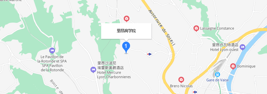 法國里昂商學院學校地址