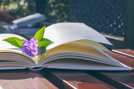 俄聯邦總統國家行政學院MBA招生流程 俄聯邦總統國家行政學院MBA招生流程