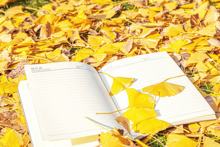 山東大學(xué)金融專碩招生時間