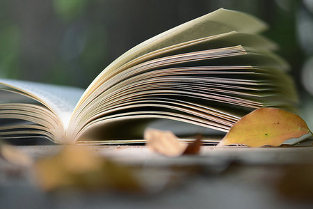 公共管理在職研究生工作前景 公共管理在職研究生工作前景