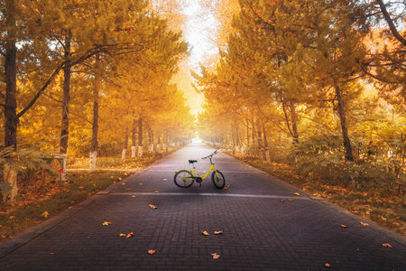 東北石油大學MPAcc招生條件