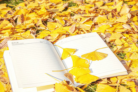 河南財經政法大學工商管理在職研究生上課方式 河南財經政法大學工商管理在職研究生上課方式