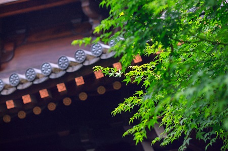 南昌大學(xué)中外合作辦學(xué)一定要出國學(xué)習(xí)嗎? 南昌大學(xué)中外合作辦學(xué)一定要出國學(xué)習(xí)嗎?