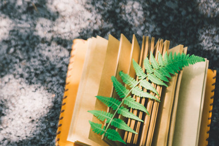 報考貴州財經大學MPA需要滿足什么條件