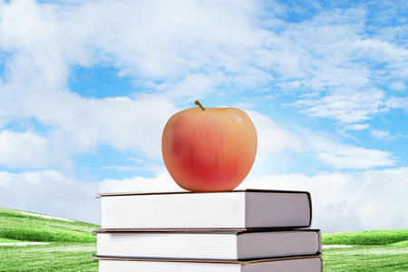 河南師范大學農業工程與信息技術非全日制研究生招生信息