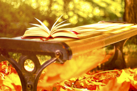 在職考研網(wǎng)課