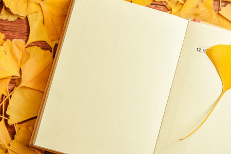 心理學(xué)國際碩士招生人群 心理學(xué)國際碩士招生人群