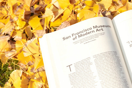 聊城大學MPA招生信息 聊城大學MPA招生信息