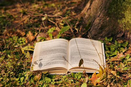 法國諾曼底管理學院國際博士報名及考試時間 法國諾曼底管理學院國際博士報名及考試時間