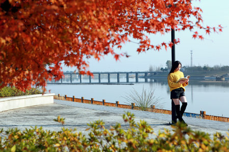 英國桑德蘭大學國際博士招生流程