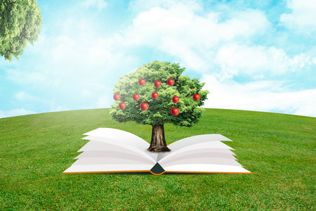 美國紐約理工大學國際博士獲得什么證書 美國紐約理工大學國際博士獲得什么證書