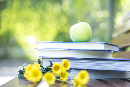 西班牙阿爾卡拉大學國際博士獲得什么證書 西班牙阿爾卡拉大學國際博士獲得什么證書