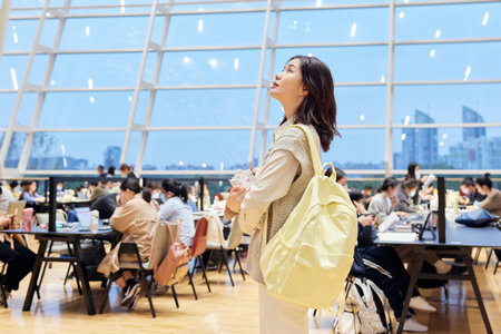 法國(guó)ILCI高等商學(xué)院報(bào)考條件