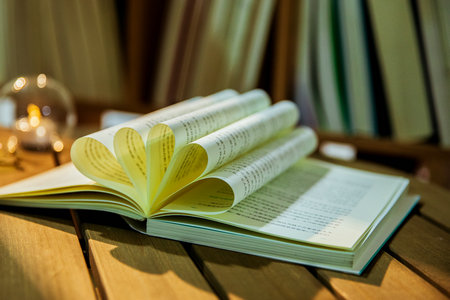 上海對外經貿大學同等學力申碩外國語言學及應用語言學專業招生條件