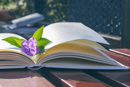 蘇州大學(xué)護(hù)理非全日制研究生招生條件