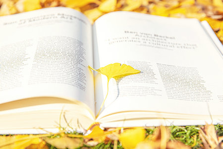 2024年非全日制研究生報名條件