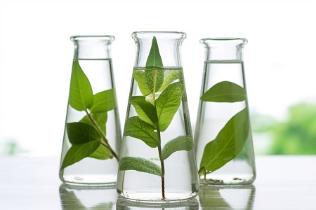 藥理學在職研究生就業方向與前景！