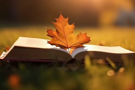 西南科技大學在職研究生電子與信息碩士招生信息 西南科技大學在職研究生電子與信息碩士招生信息