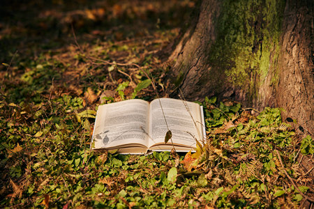 石河子大學(xué)在職研究生考試科目 石河子大學(xué)在職研究生考試科目