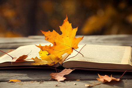 四川農業大學MF招生類型 四川農業大學MF招生類型