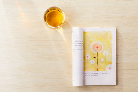 關于安徽理工大學MEM的調劑流程