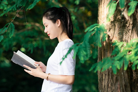 石家莊鐵道大學MEM成績啥時候出來 石家莊鐵道大學MEM成績啥時候出來