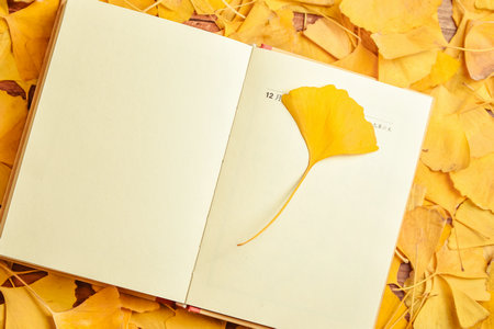 東北林業大學金融專碩報考條件